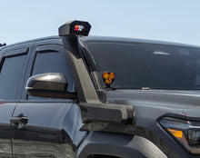 Load image into Gallery viewer, Photo - Mounted