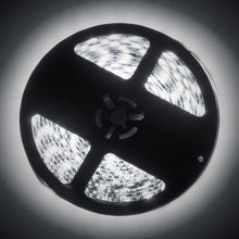 Cargar imagen en el visor de la galería, User 1