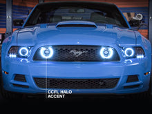 Charger l'image dans la galerie, Photo - Close Up