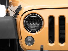 Charger l'image dans la galerie, Photo - Close Up