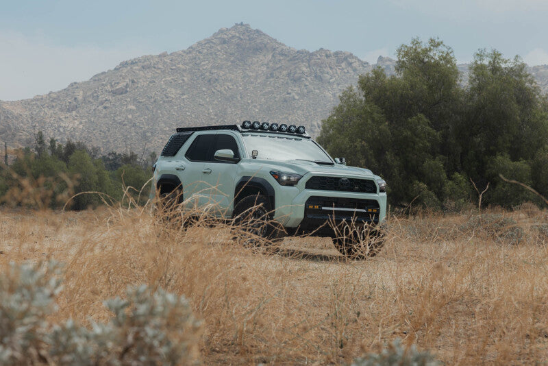 Photo - Close Up