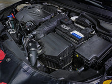 Load image into Gallery viewer, Photo - Mounted