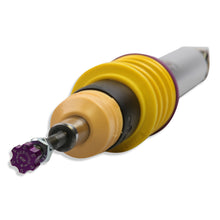 गैलरी व्यूवर में इमेज लोड करें, User 6