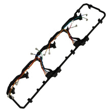 Charger l'image dans la galerie, Photo - Unmounted