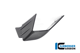Ilmberger Carbon Winglets for 2020-22 BMW M1000RR, S1000RR