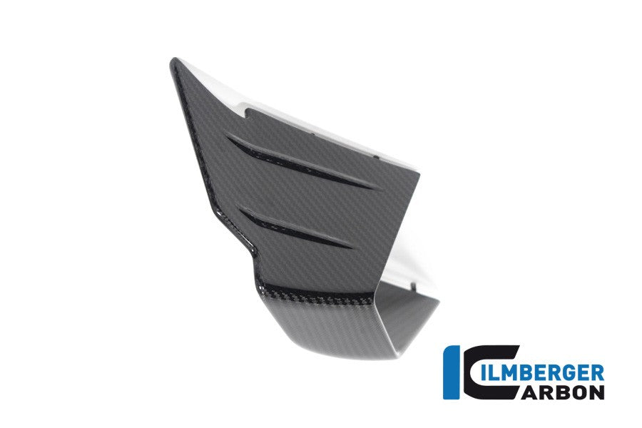 Ilmberger Carbon Winglets for 2020-22 BMW M1000RR, S1000RR