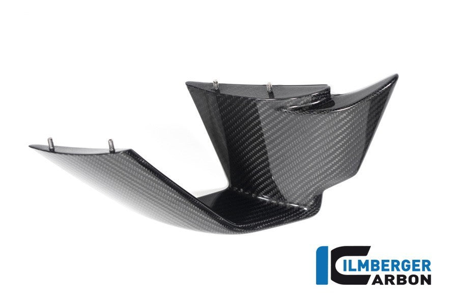 Ilmberger Carbon Winglets for 2020-22 BMW M1000RR, S1000RR