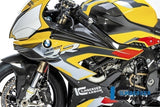 Ilmberger Carbon Fairing Side Panel (LEFT) for 2020+ BMW M 1000 RR, S 1000 RR