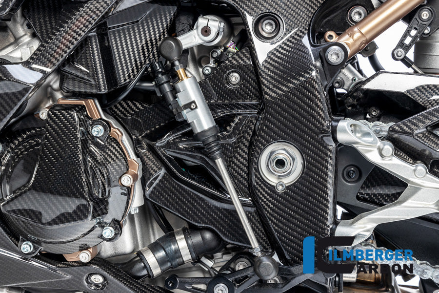 Ilmberger Carbon Sprocket, Ignition Rotor Cover for 2020+ BMW S1000RR, M1000RR