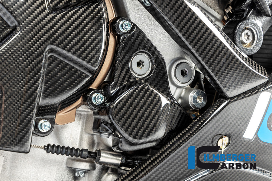 Ilmberger Carbon Sprocket, Ignition Rotor Cover for 2020+ BMW S1000RR, M1000RR