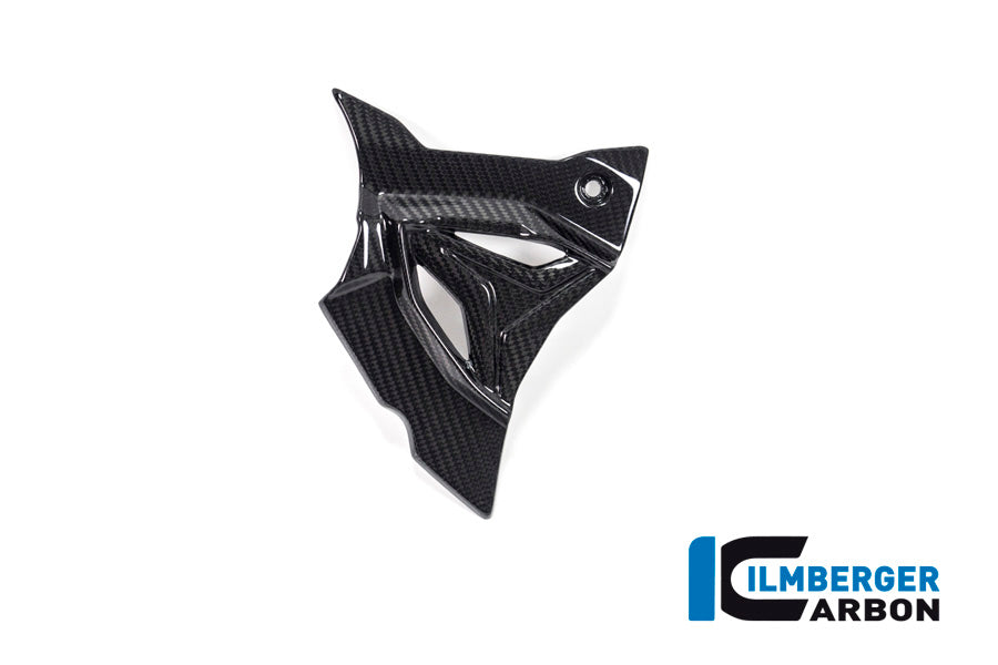 Ilmberger Carbon Sprocket, Ignition Rotor Cover for 2020+ BMW S1000RR, M1000RR