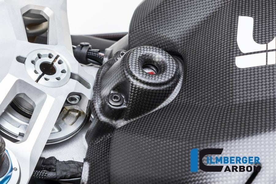 Ilmberger Carbon Ignition Switch Cover for 2018+ Ducati Panigale V4 / V4S / V4R