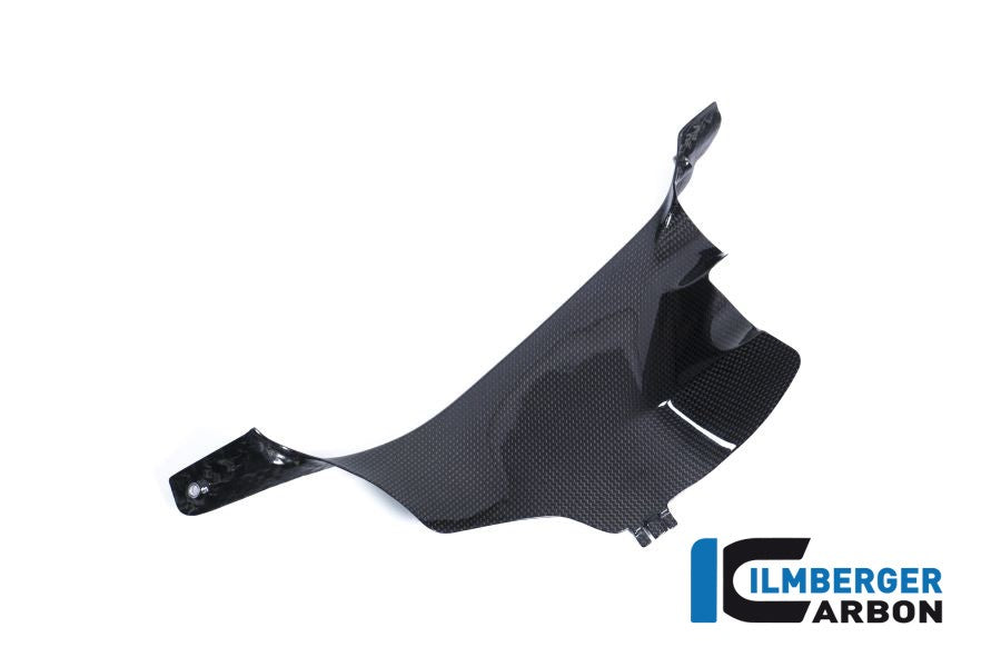 Ilmberger Carbon Left Air Tube Cover for 2018+ Ducati Panigale V4 / V4S / V4R