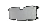 Evotech Performance Radiator Guard for 2015-2024 BMW R1250R / RS