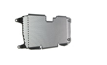 Carica l&#39;immagine nel visualizzatore di Gallery, Evotech Performance Radiator Guard for 2015-2024 BMW R1250R / RS