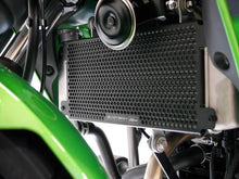 Load image into Gallery viewer, Evotech Performance Radiator Guard for Kawasaki Ninja 125 / Z125