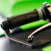 गैलरी व्यूवर में इमेज लोड करें, GB Racing Racing Brake Lever Guard for 2020+ Ducati Streetfighter V4 and KTM Duke 790