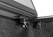 Load image into Gallery viewer, Photo - Close Up