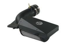 Charger l'image dans la galerie, Photo - Primary