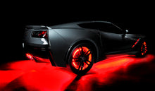 Cargar imagen en el visor de la galería, Photo - lifestyle view