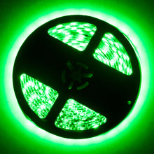 Cargar imagen en el visor de la galería, User 1