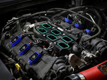 Carica l&#39;immagine nel visualizzatore di Gallery, Photo - Mounted