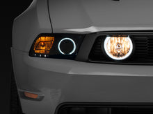 Charger l'image dans la galerie, Photo - Primary