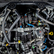 Carica l'immagine nel visualizzatore di Gallery, User 1