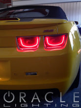 Cargar imagen en el visor de la galería, Photo - lifestyle view
