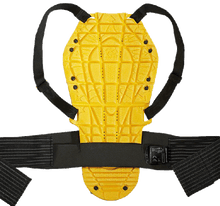 Load image into Gallery viewer, Spidi BACK WARRIOR EVO Back Protector