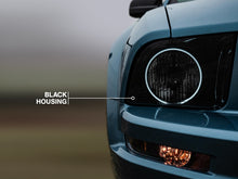 Charger l'image dans la galerie, Photo - Close Up