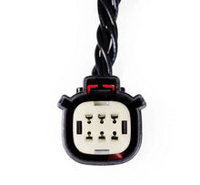 Charger l'image dans la galerie, User 3