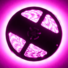Cargar imagen en el visor de la galería, User 1