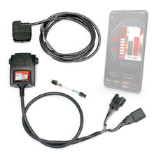 Charger l'image dans la galerie, Photo - Primary