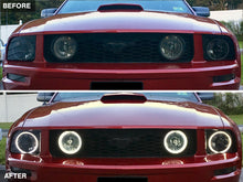 Charger l'image dans la galerie, Photo - Close Up
