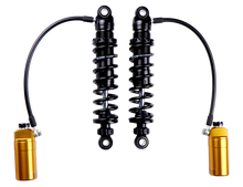 गैलरी व्यूवर में इमेज लोड करें, User 1