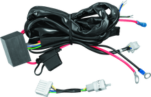 Charger l'image dans la galerie, Photo - Primary