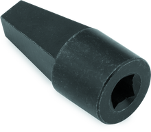 Laden Sie das Bild in den Galerie-Viewer, Photo - Primary