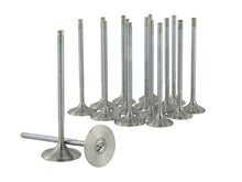 Charger l'image dans la galerie, Photo - Unmounted