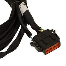 Charger l'image dans la galerie, Photo - Unmounted