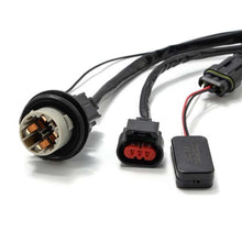 Charger l'image dans la galerie, User 3