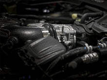 Charger l'image dans la galerie, Photo - Mounted