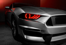 Cargar imagen en el visor de la galería, Photo - lifestyle view