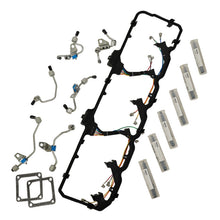 Charger l'image dans la galerie, Photo - Primary