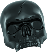 Laden Sie das Bild in den Galerie-Viewer, Photo - Primary