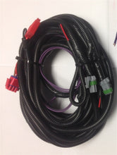 Charger l'image dans la galerie, Photo - Primary