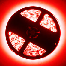 Cargar imagen en el visor de la galería, User 1