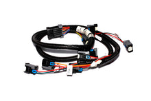 Charger l'image dans la galerie, Photo - Primary