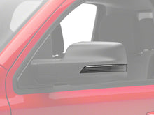 Cargar imagen en el visor de la galería, Photo - Primary