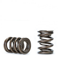 Laden Sie das Bild in den Galerie-Viewer, Skunk2 Tuner Series Honda/Acura (B16A/ B17A/ B18C) DOHC VTEC Alpha Valve Spring Set (Dual Springs)